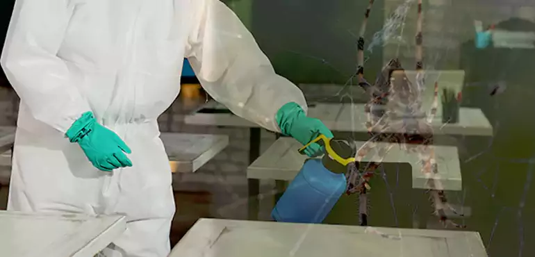 Why Buyers Still Want Homes With Pest Infestations in Spokane, WA?