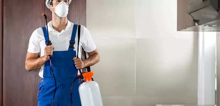 Why Spokane Homeowners Choose Us When Pests Make Selling Difficult